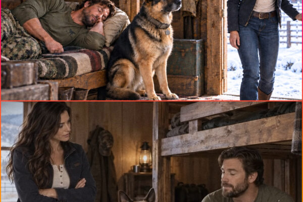 She Found a Former Navy SEAL and His K9 in Her Bunkhouse — Six Days Later, She Asked Him to Stay