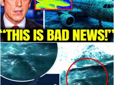 Underwater Drone Went Inside MH370 — And the Footage Is Beyond Terrifying!