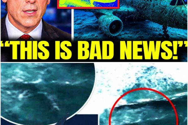 Underwater Drone Went Inside MH370 — And the Footage Is Beyond Terrifying!